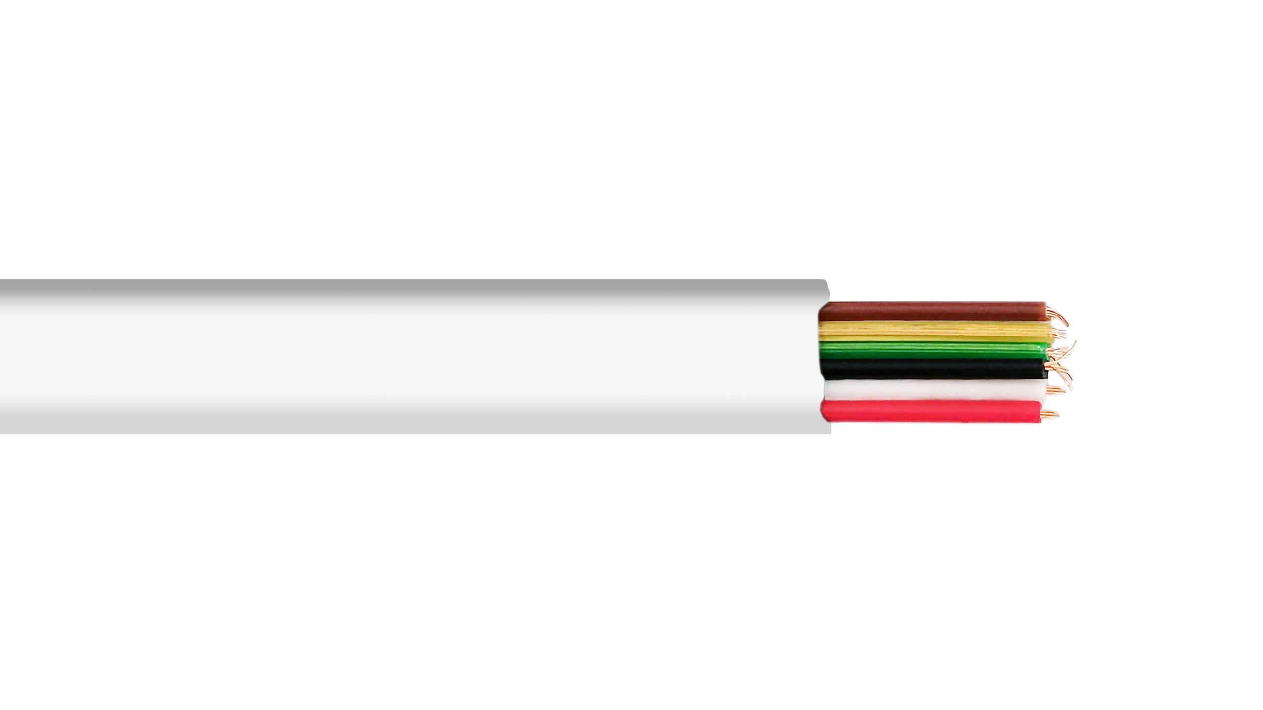11647.jpg 12WAY HI-SPEED TELEPH. CABLE - Image 1