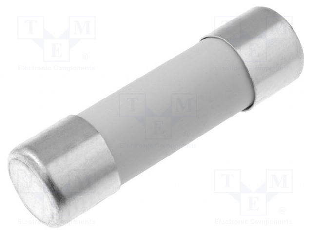 7000140.10X2.jpg 10A 250V FUSE FAST BLOW X2pcs - Image 1